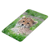 チーター002 マグネット (左側)