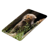 チーター005 マグネット (左側)