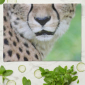 チーター009 キッチンタオル (折り畳み)