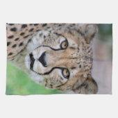 チーター009 キッチンタオル (横)