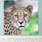 チーター009 キャンバスプリント (インサイチュ (ウッドフロア))