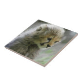 チーター014 タイル (側面)