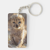 チーター19日歳男の子 キーホルダー (裏面)