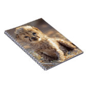 チーター19日歳男の子 ノートブック (右側)