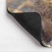 チーター19日歳男の子 マウスパッド (コーナー)