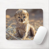 チーター19日歳男の子 マウスパッド (マウス)