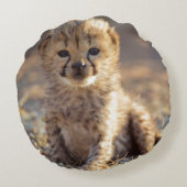 チーター19日歳男の子 ラウンドクッション (裏面)