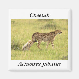 チーター&カッブマグネット マグネット