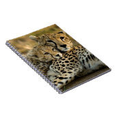 チーター・カブが母親に寄り添う ノートブック (右側)