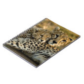 チーター・カブが母親に寄り添う ノートブック (左側)