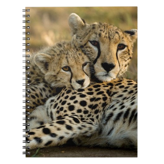 チーター・カブが母親に寄り添う ノートブック (正面)