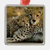 チーター・カブが母親に寄り添う メタルオーナメント (正面)