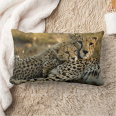 チーター・カブが母親に寄り添う ランバークッション (ブランケット)