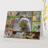 チーター – コラージュ001 カード (黄色い花)