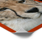 チーター – コラージュ001 ポスター (角)