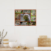 チーター – コラージュ001 ポスター (キッチン)