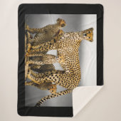 チーター シェルパブランケット (正面)