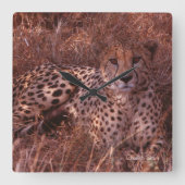 チーター・スタレ スクエア壁時計 (正面)