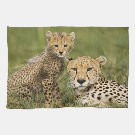チーター、チーターの子供と キッチンタオル (横)