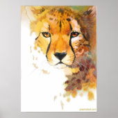 チーター！ ポスター (正面)