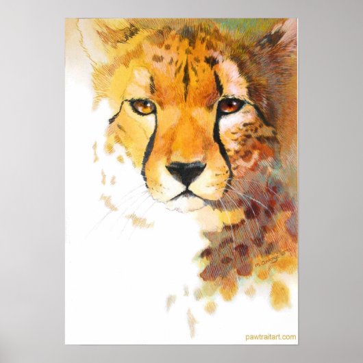 チーター! ポスター (正面)