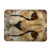 チーター マグネット (横)