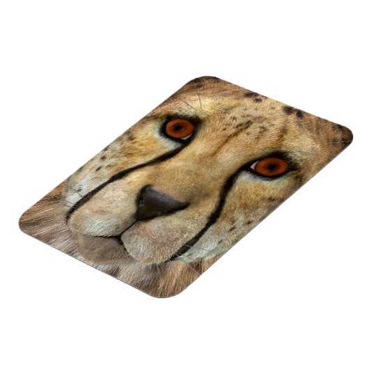 チーター マグネット (左側)