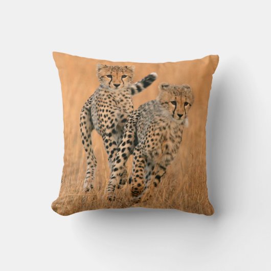 チーター (Acinonyx Jubatus) の走り クッション (正面)