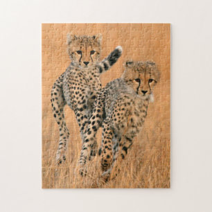 チーター (Acinonyx Jubatus) の走り ジグソーパズル