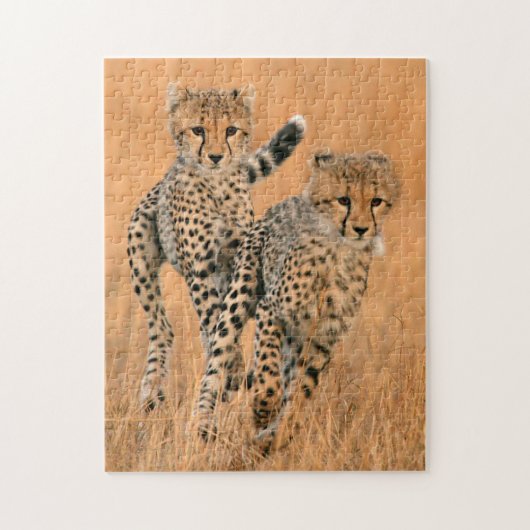 チーター (Acinonyx Jubatus) の走り ジグソーパズル (縦)