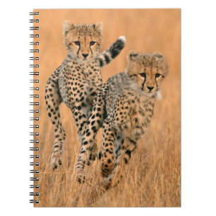 チーター (Acinonyx Jubatus) の走り ノートブック
