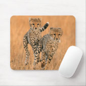 チーター (Acinonyx Jubatus) の走り マウスパッド (マウス)