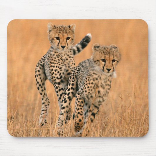 チーター (Acinonyx Jubatus) の走り マウスパッド (正面)