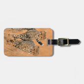 チーター (Acinonyx jubatus) の走り ラゲッジタグ (正面横)