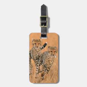 チーター (Acinonyx jubatus) の走り ラゲッジタグ
