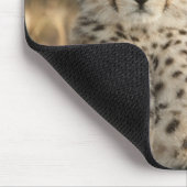 チーター, Acinonyx jubatus マウスパッド (コーナー)