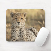 チーター, Acinonyx jubatus マウスパッド (マウス)