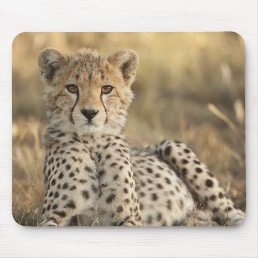 チーター, Acinonyx jubatus マウスパッド (正面)