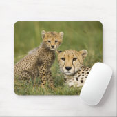チーター、Acinonyx jubatus、子連れ マウスパッド (マウス)