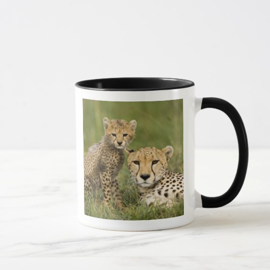 チーター, Acinonyx jubatus, 子連れ マグカップ (右)