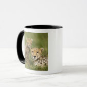 チーター, Acinonyx jubatus, 子連れ マグカップ (正面左)