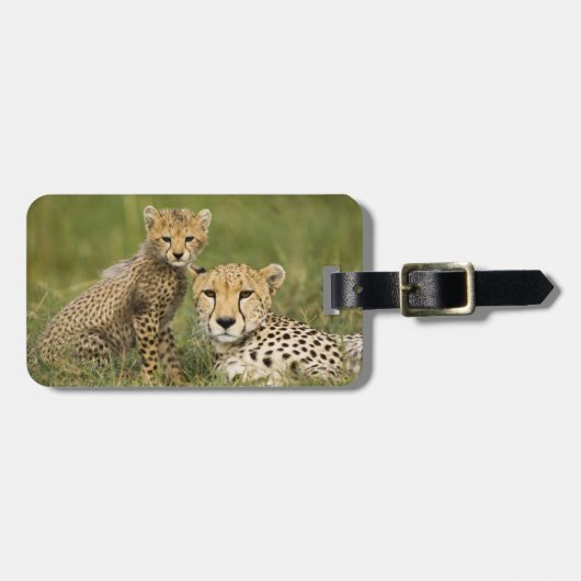 チーター、Acinonyx jubatus、子連れ ラゲッジタグ (正面横)