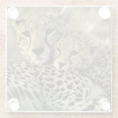 チーター、Acinonyx jubatus 2 ガラスコースター (裏面)