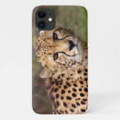 チーターiPhone 11ケース Case-Mate iPhoneケース (裏面)