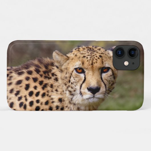 チーターiPhone 11ケース Case-Mate iPhoneケース (裏面(横))