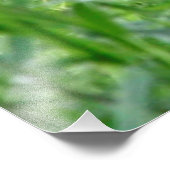 チータ20150904 フォトプリント            (角)