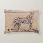 チータ アクセントクッション (正面)