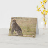 チータ カード (黄色い花)