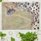 チータ キッチンタオル (折り畳み)