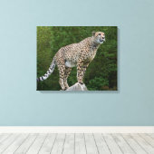 チータ キャンバスプリント (インサイチュ (ウッドフロア))